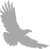 Eagle Rock Investment Co. Logo